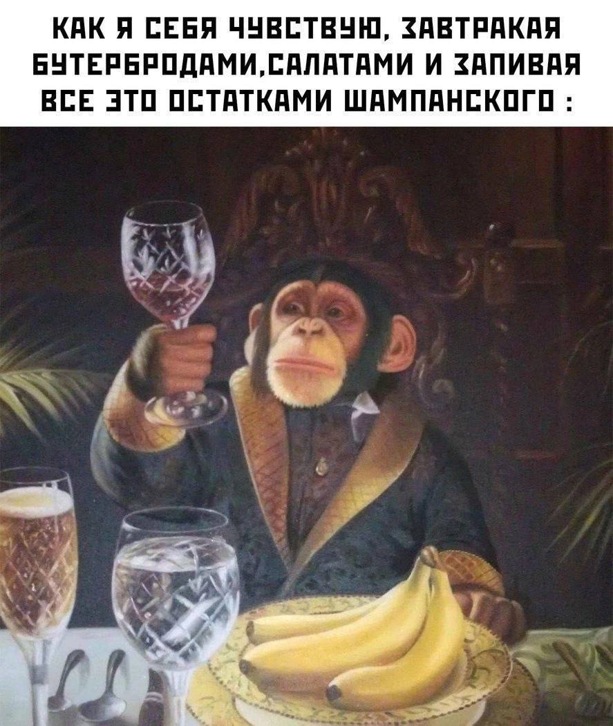 КАК Я СЕБЯ ЧУВСТВУЮ, ЗАВТРАКАЯ БУТЕРБРОДАМИ, САЛАТАМИ И ЗАПИВАЯ ВСЕ ЭТО ОСТАТКАМИ ШАМПАНСКОГО