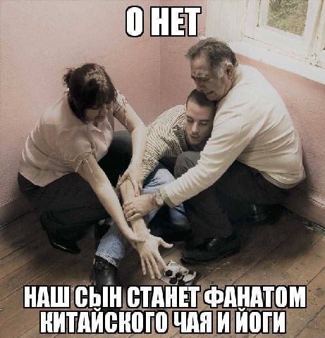 OHET НАШ СЫН СТАНЕТ ФАНАТОМ КИТАИСКОГО ЧАЯ И MOTH