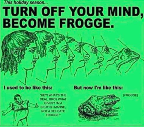 This holiday season... TURN OFF YOUR MIND, BEC OME FROGGE. i 72 С KAW used to be like this: But now like this: "HEY! WHAT'S THE (FROGGE) DEAL, BRO? WHAT ГМА в MANNE, NOTA DELICATE FROGGE.”