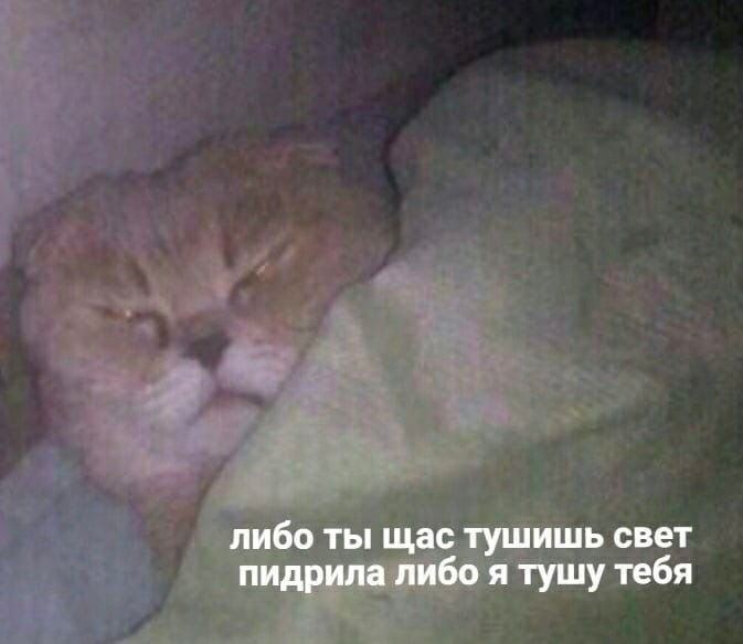 либо ты щас тушишь свет пидрила либо я тушу тебя