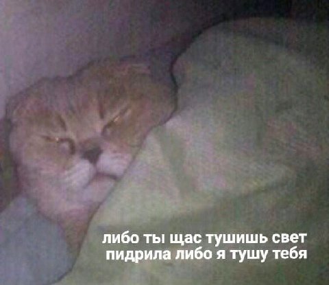 либо ты щас тушишь свет пидрила либо я тушу тебя