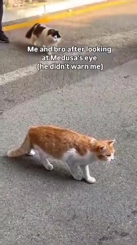 аще атс матте) Медиа: еуе — (heldidn:tiwarnime) Meland bro after looking! ==) ; Metand brolafterlooking) (heldidn;t'warnime),