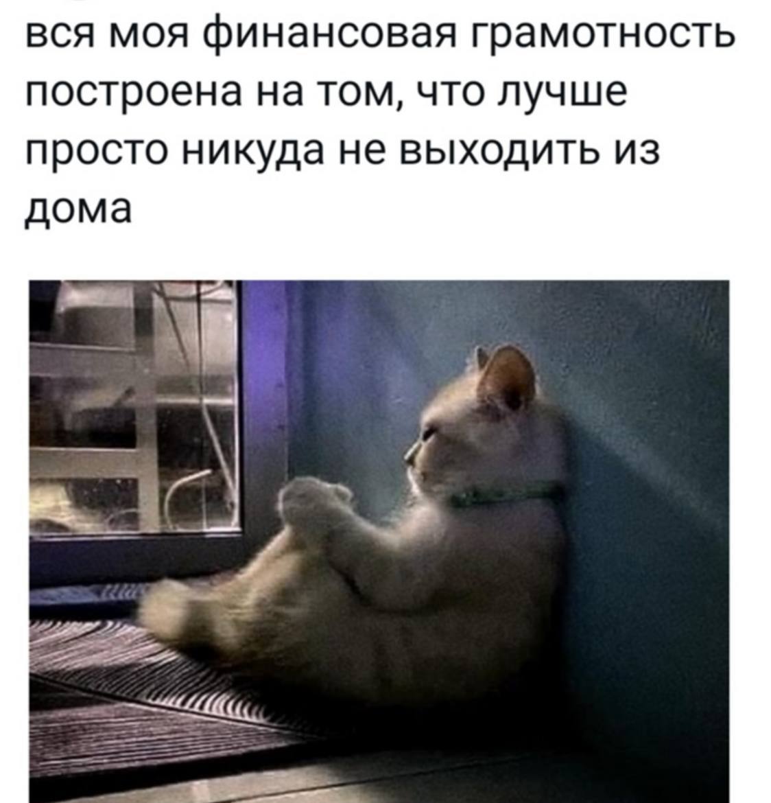 вся MOA финансовая грамотность построена на том, что лучше просто никуда не выходить из дома