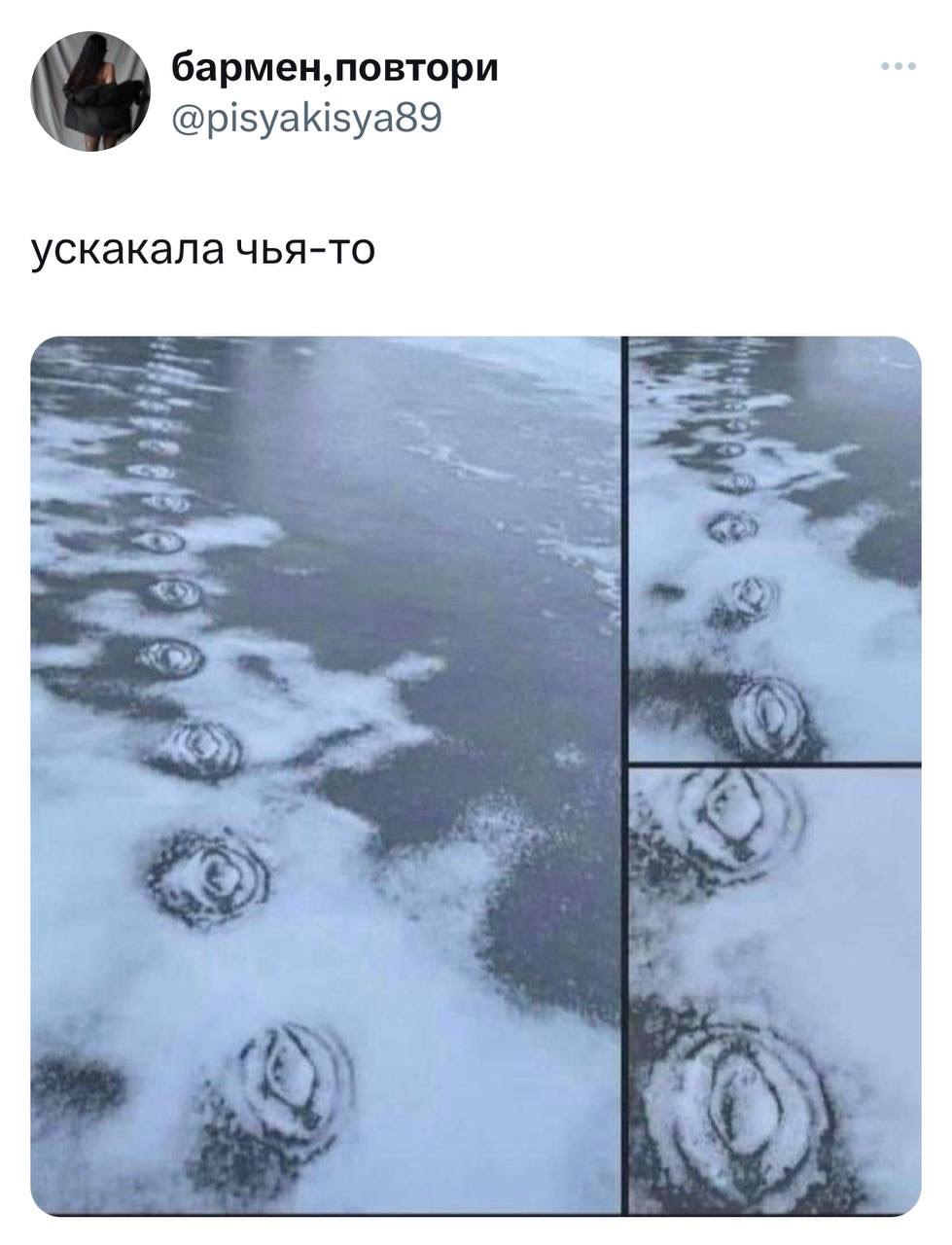 @pisyakisya89 ускакала чья-то