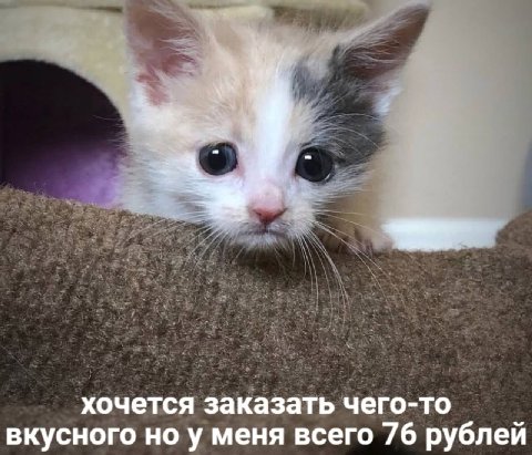 хочется заказать чего-то вкусного но у меня всего 76 рублей