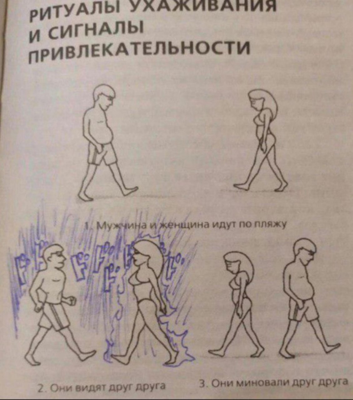 ТУАЛЫ УХАЖИВАНИЯ СИГНАЛЫ ПРИВЛЕКАТЕЛЬНОСТИ у 2. Они видят друг друга 3. Они миновали друг друга