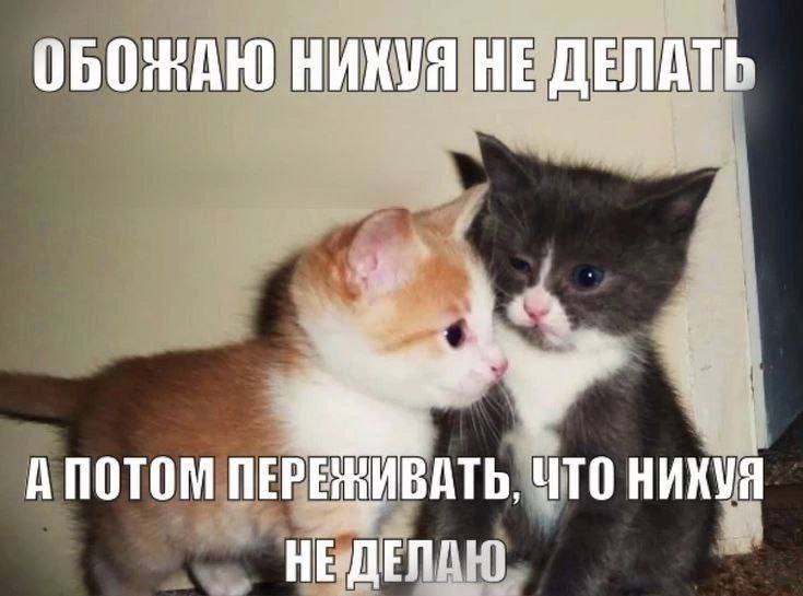 ОБОЖАЮ НИКУЯ НЕ ДЕЛАТЬ ПЕРЕЖИВАТЬ, ЧТО HE: