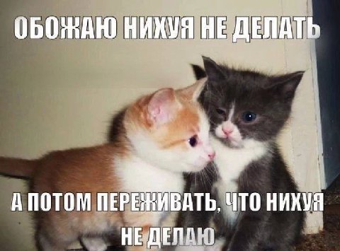 ОБОЖАЮ НИКУЯ НЕ ДЕЛАТЬ ПЕРЕЖИВАТЬ, ЧТО HE:
