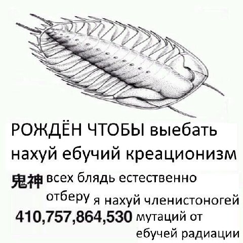 от подписчицы