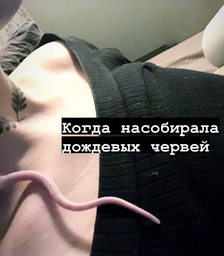 Когда насобирала пождевых червей