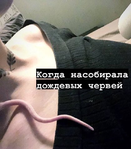 Когда насобирала пождевых червей