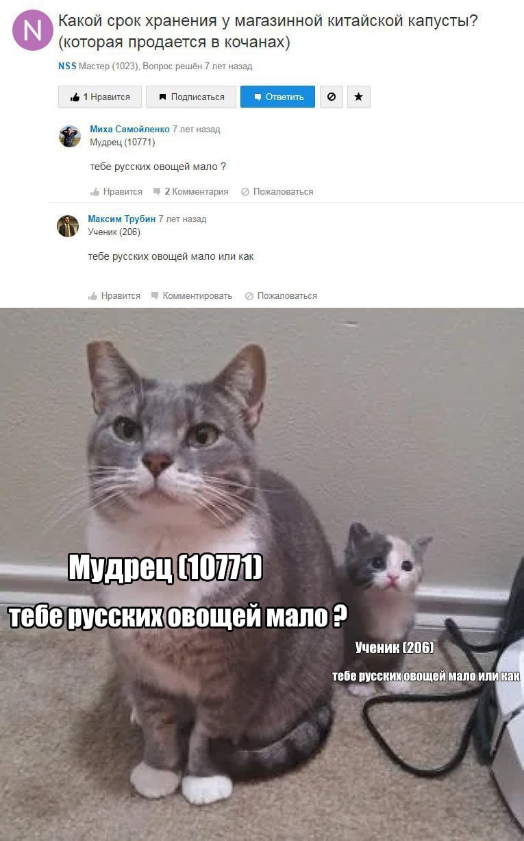 Какой срок хранения у магазинной китайской капусты? (которая продается в кочанах) NSS Мастер (1023), Вопрос решён 7 лет назад 1 Нравится Подписаться Миха Самойленко 7 лет назад Мудрец (10771) тебе рус