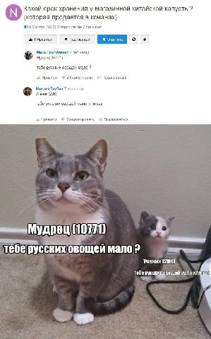 Какой срок хранения у магазинной китайской капусты? (которая продается в кочанах) NSS Мастер (1023), Вопрос решён 7 лет назад 1 Нравится Подписаться Миха Самойленко 7 лет назад Мудрец (10771) тебе рус