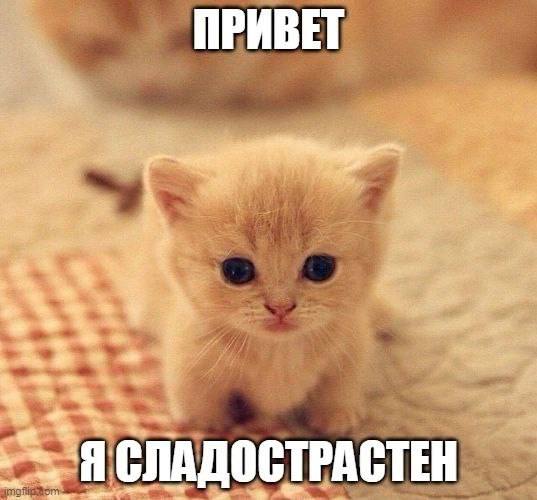 ПРИВЕТ a 2 Я СЛАДОСТРАСТЕН