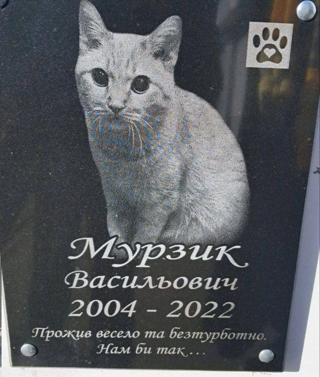 Васильовии 2004 2022 Прожив весело безтурботно Ham max...