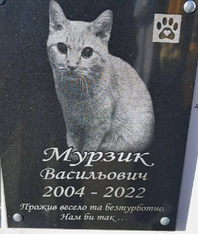 Васильовии 2004 2022 Прожив весело безтурботно Ham max...