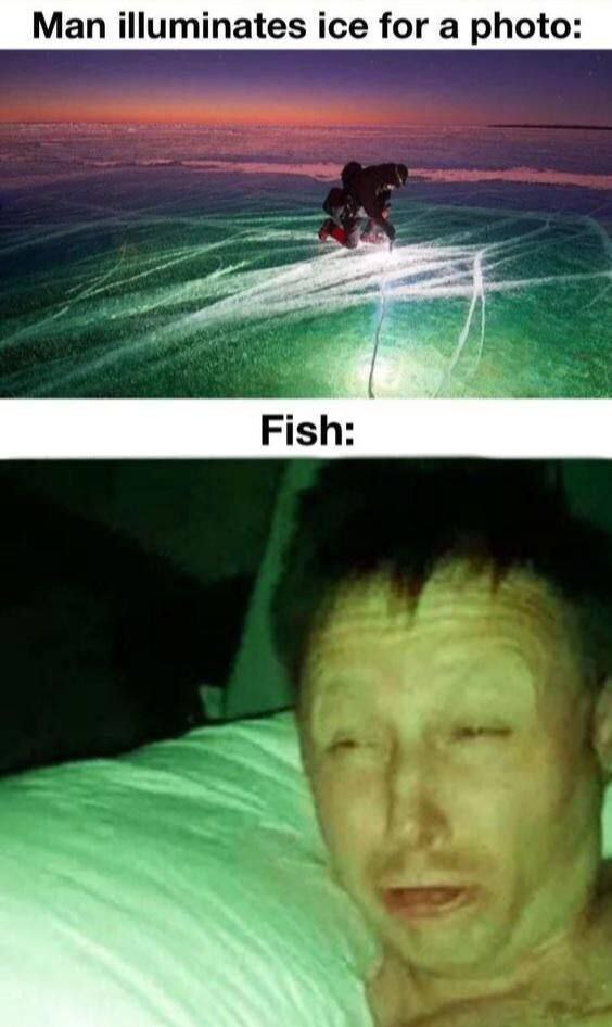 Man illuminates ice for a photo: Fish: