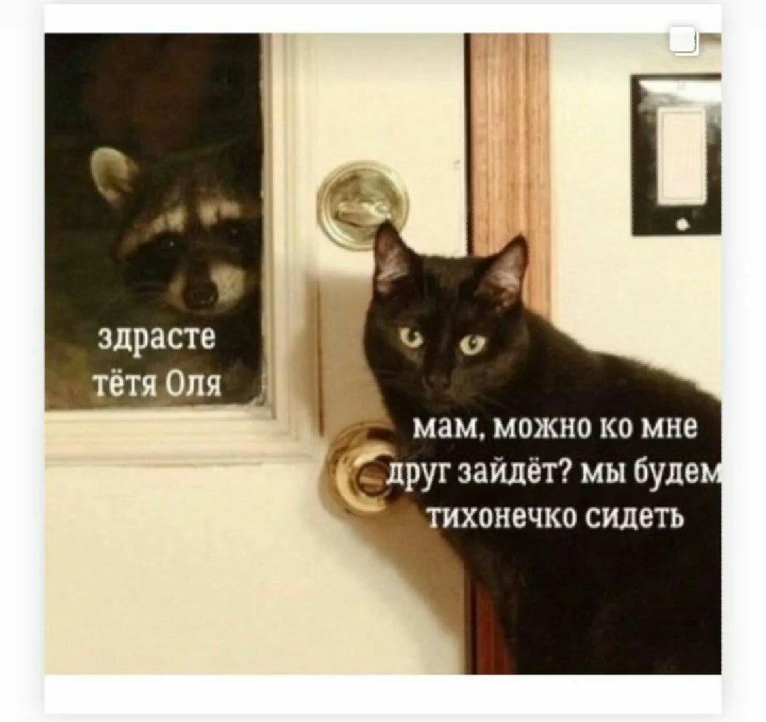 i здрасте тётя Оля мам, можно мне Guy зайдёт? мы буде тихонечко сидеть