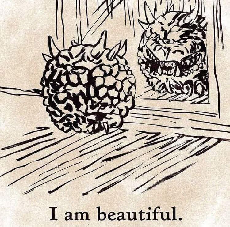 beautiful.