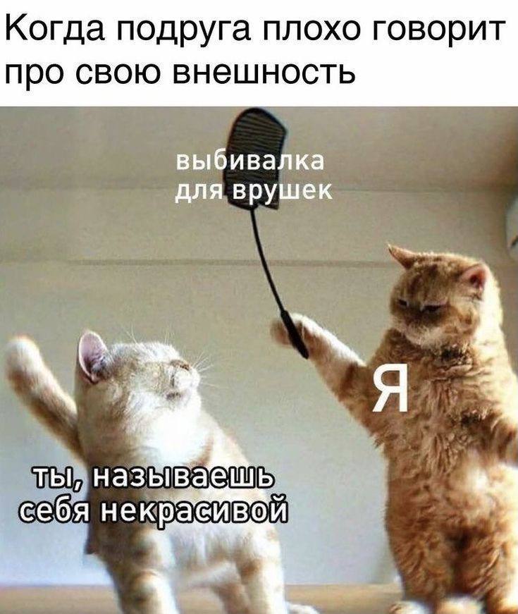 Когда подруга плохо говорит про свою внешность выбивалка для врушек ты, назы ваешь. себя ИВО a ite