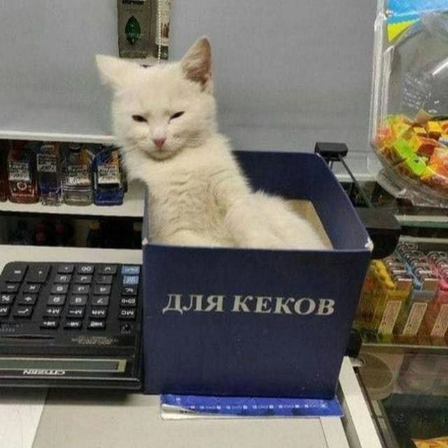 Lal ДЛЯ КЕКОВ