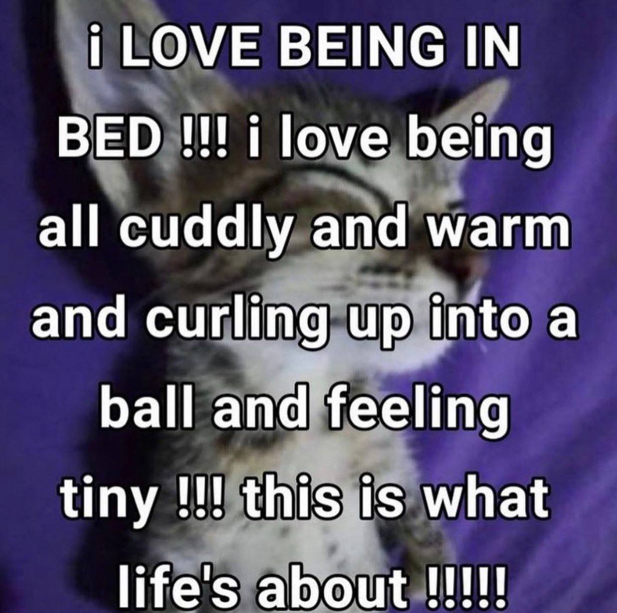 i LOVE BEING IN BED i love being all cuddly and warm and curling up into a ball and feeling tiny this is what life's about И!!!