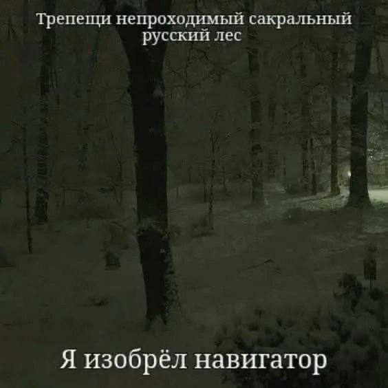 Трепещи непроходимый сакральный русский лес Я изобрёл навигатор