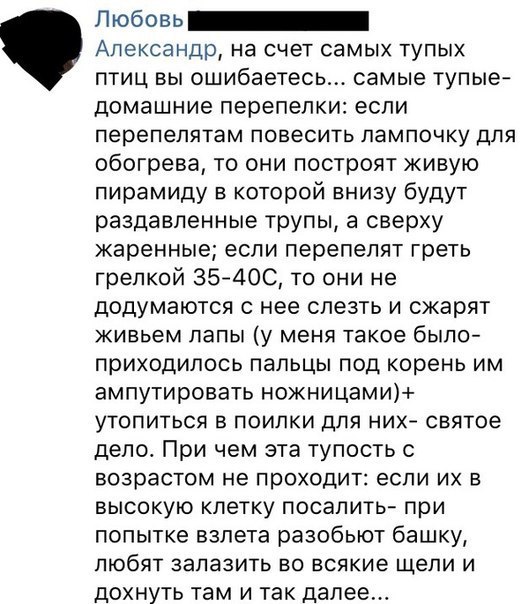 Любовь Александр, на счет самых тупых птиц вы ошибаетесь... самые тупые- домашние перепелки: если перепелятам повесить лампочку для обогрева, то они построят живую пирамиду в которой внизу будут разда