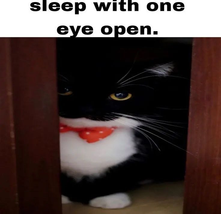 sieep млтп one eye open.