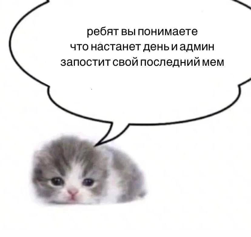 ребят вы понимаете что настанет день иадмин запостит свой последний мем