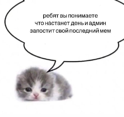 ребят вы понимаете что настанет день иадмин запостит свой последний мем