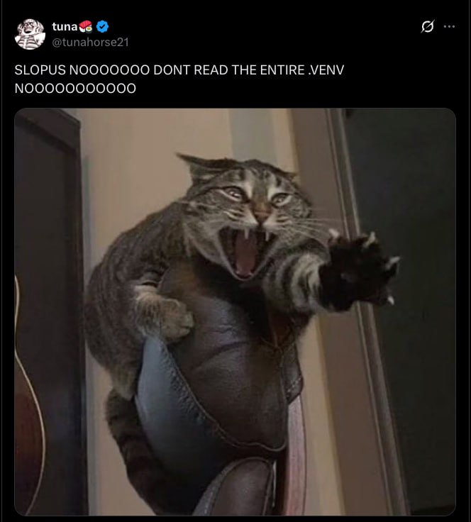 SLOPUS NOOOOOOO DONT READ THE ENTIRE VENV