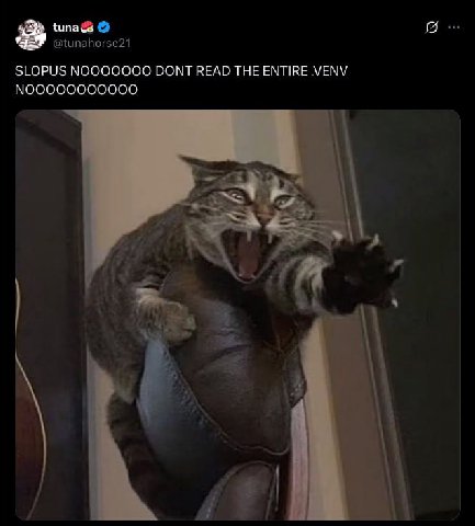SLOPUS NOOOOOOO DONT READ THE ENTIRE VENV