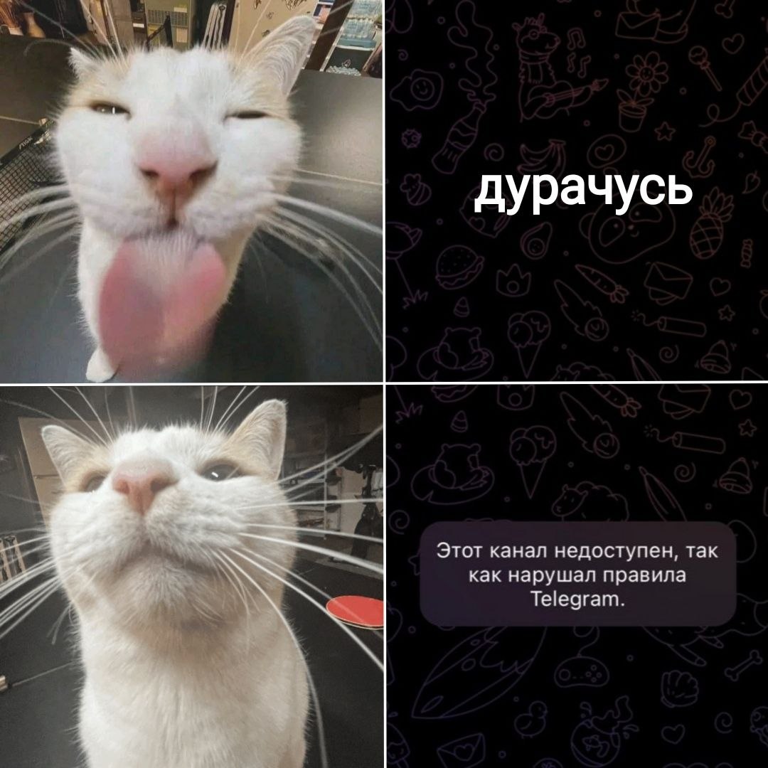 дурачусь Этот канал недоступен, так как нарушал правила Telegram.