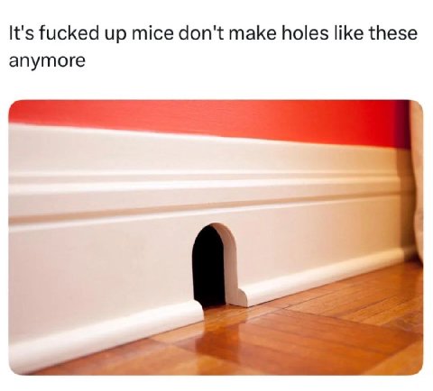 It's fucked up mice don't make holes like these anymore