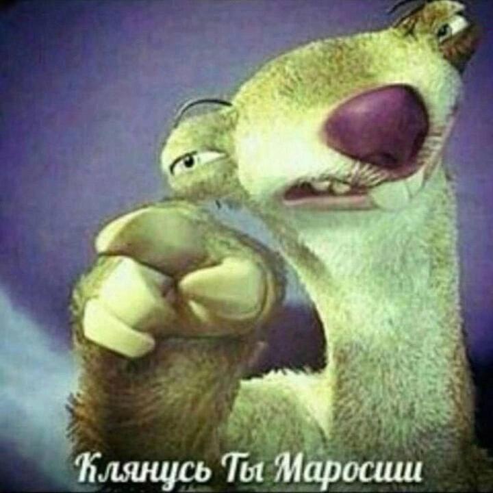 Ты Маросши