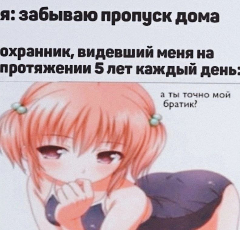я: забываю пропуск дома охранник, видевший меня на протяжении 5 лет каждый день а ты точно мой братик?