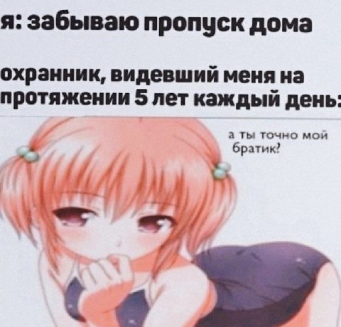 я: забываю пропуск дома охранник, видевший меня на протяжении 5 лет каждый день а ты точно мой братик?