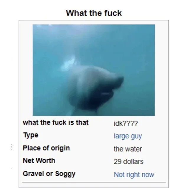 the fuck what the fuck is that Туре large guy Place of origin the water Net Worth 29 dollars Gravel or Soggy Not right now