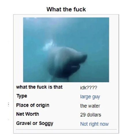 the fuck what the fuck is that Туре large guy Place of origin the water Net Worth 29 dollars Gravel or Soggy Not right now