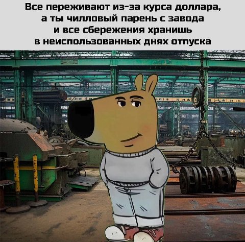 Все переживают из-за курса доллара, а ты чилловый парень с завода и все сбережения хранишь в неиспользованных днях отпуска a