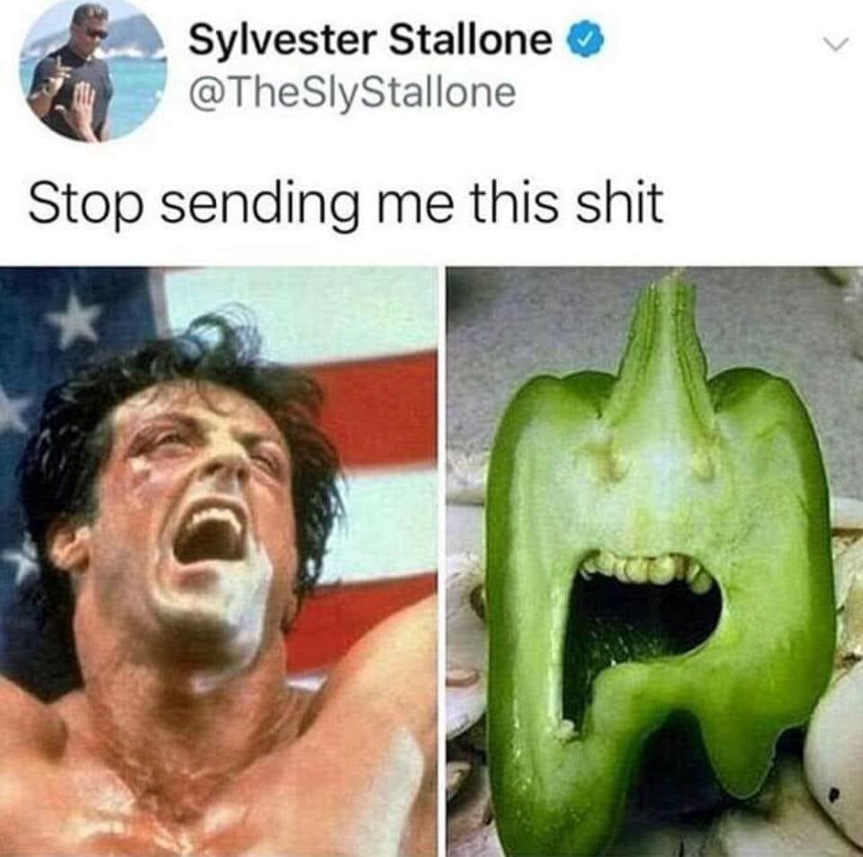 Sylvester Stallone @TheSlyStallone Stop sending me this shit 3