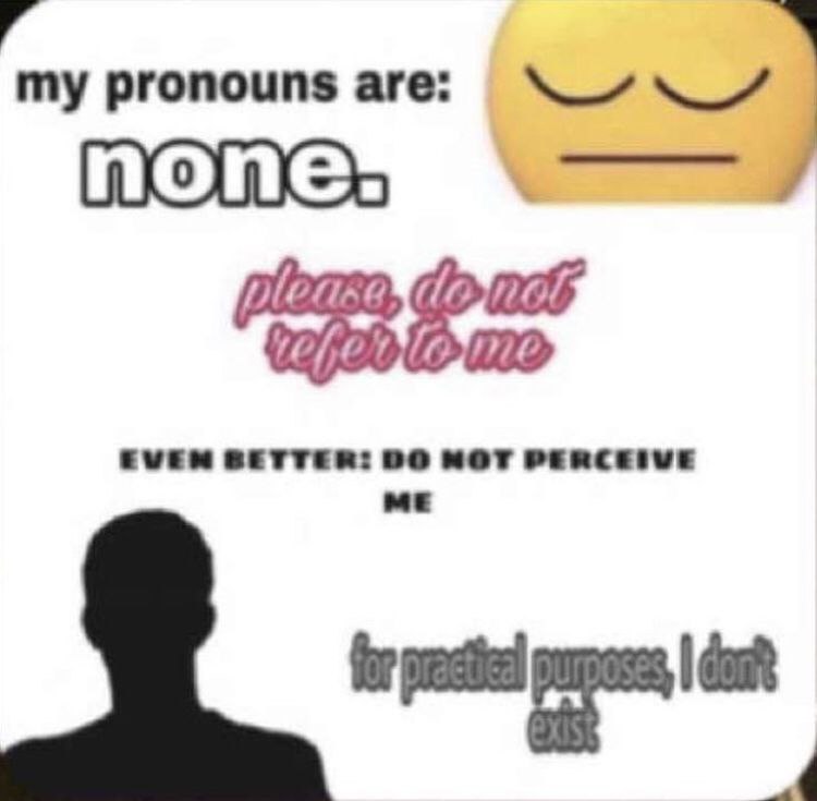 my pronouns are: none: EVEM SETTER: МОТ PERCEIVE
