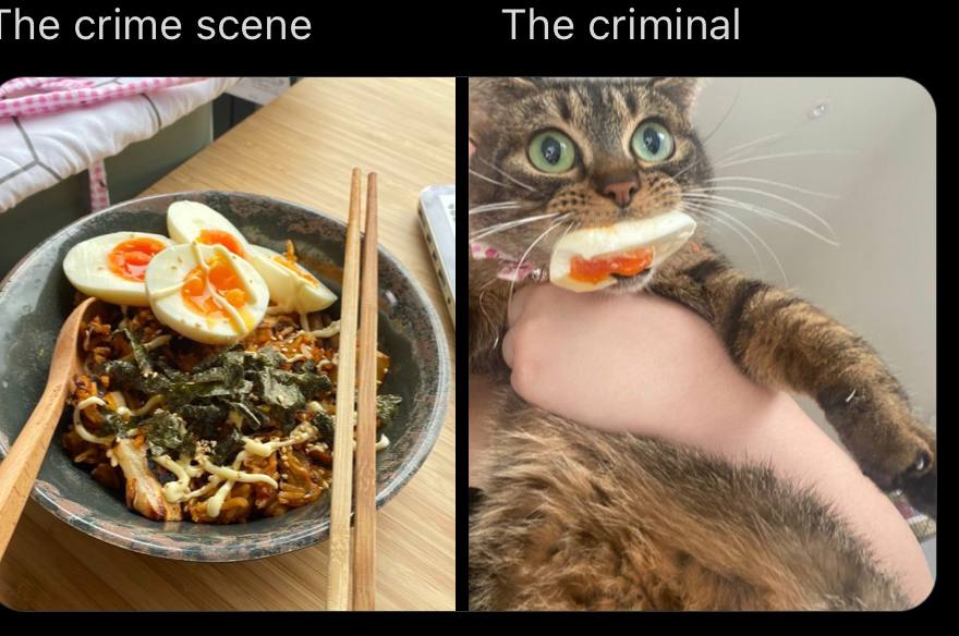 he crime scene The criminal