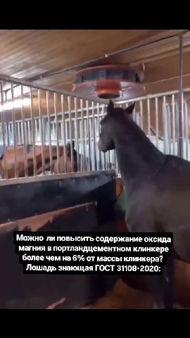 Можно JIM повысить содержание оксида магния в портландцементном клинкере „и более чем Ha 6% от массы клинкера?