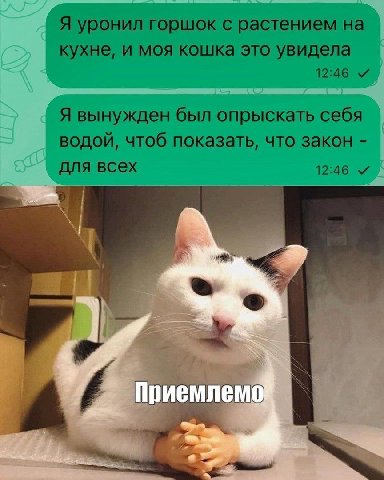 лгоршок с растением 1 у ‘a a к, i 4 i Приемлемо +4