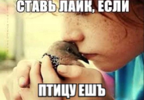 ЕСЛИ ПТИЦУЕШЬ