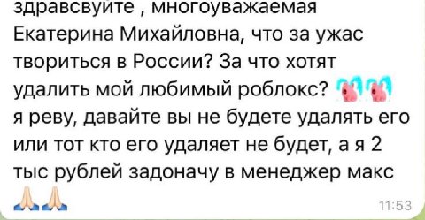 здравсвуите многоуважаемая Екатерина Михайловна, что за ужас твориться в России? За что хотят удалить мой любимый роблокс? я реву, давайте вы не будете удалять его или тот кто его удаляет не будет, 2 