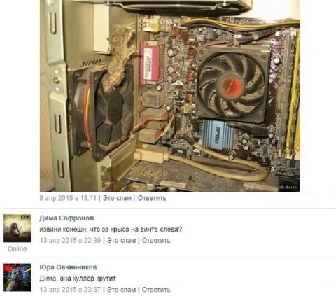 4 а a у 4 у ind 9 апр 2015 в 18:11 Это спам Ответить Дима Сафронов извини конешн, что за крыса на винте слеза? 13 апр 2015 в 22:39 Это спам Ответить Юра Овчинников Дима, она куллер крутит 13 апр 2015 