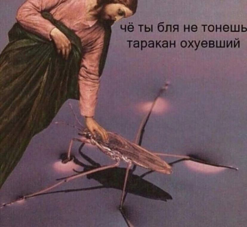 чё ты бля не тонешь таракан охуевшии С: nie